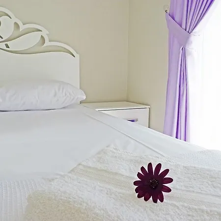Apartment Roma - Emir Gursu B Bahtili